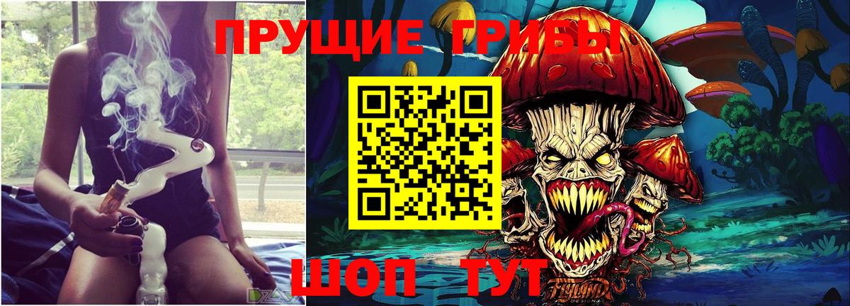 Гай  Псилоцибиновые грибы Magic Shrooms  Вход с VPN 