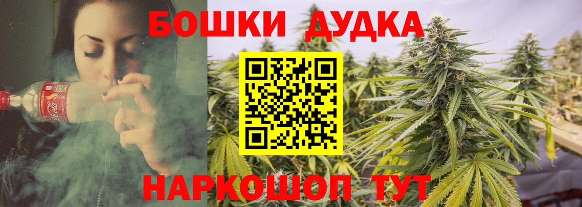 Шишки марихуана план Гай